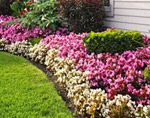 Power washing & landscaping work by Facciolo’s
