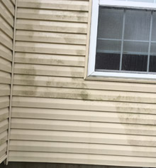Power washing, before